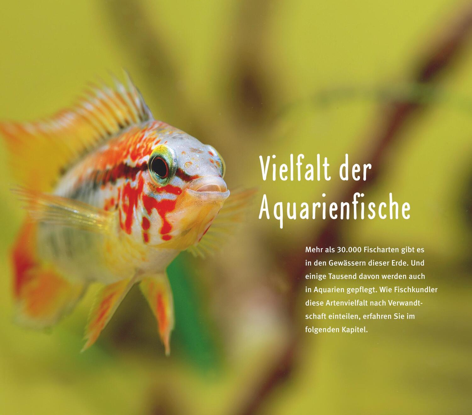 Bild: 9783833855788 | Aquarienfische von A bis Z | Ulrich Schliewen | Taschenbuch | 256 S.
