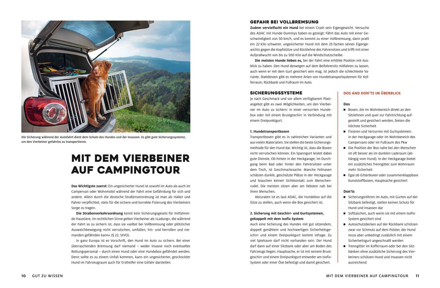 Bild: 9783956899386 | Yes we camp! Camping mit Hund | Andrea Lammert (u. a.) | Taschenbuch