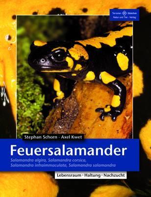 Cover: 9783866591561 | Feuersalamander | Stefan Schorn (u. a.) | Taschenbuch | 141 S. | 2011