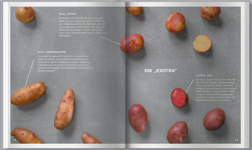 Bild: 9783784356686 | Die perfekte Ofenkartoffel | Janny Hebel | Buch | 160 S. | Deutsch