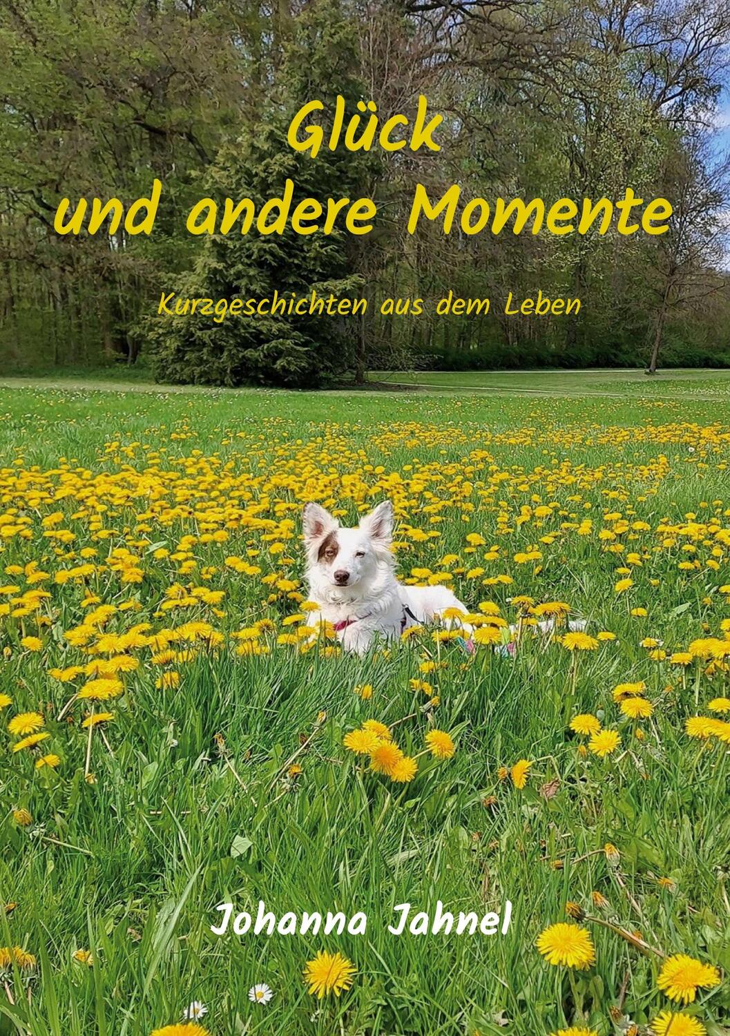 Cover: 9783757860301 | Glück und andere Momente | Kurzgeschichten aus dem Leben | Jahnel