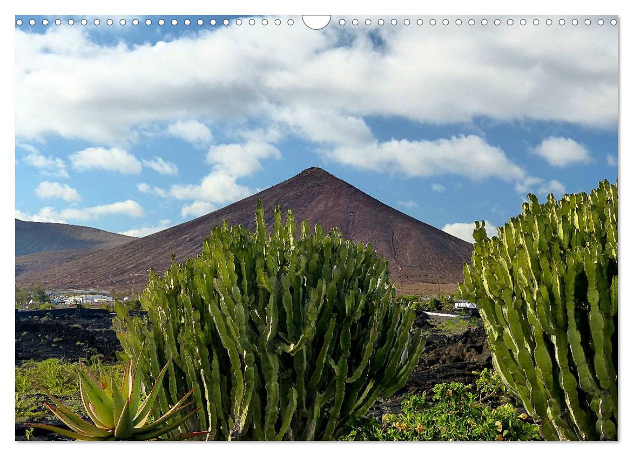 Bild: 9783435732609 | Vulkaninsel Lanzarote (Wandkalender 2025 DIN A3 quer), CALVENDO...