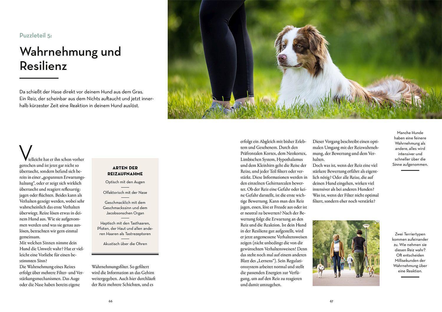 Bild: 9783440172933 | Resilienz bei Hunden | Vanessa Engelstädter | Taschenbuch | Deutsch