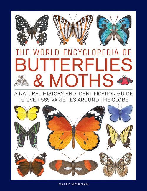 Cover: 9780754834762 | Butterflies &amp; Moths, The World Encyclopedia of | Sally Morgan | Buch
