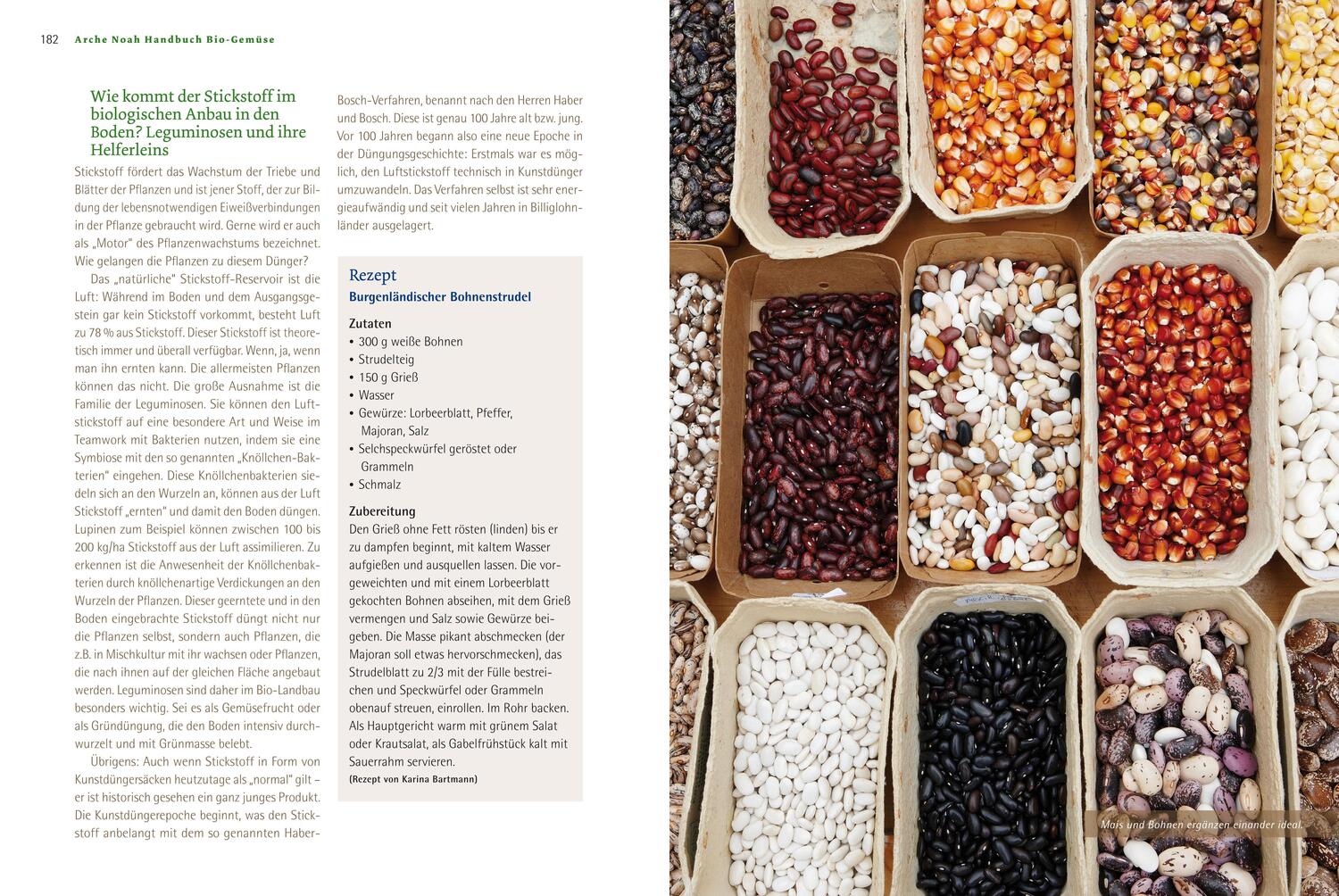 Bild: 9783706624596 | Handbuch Bio-Gemüse | Sortenvielfalt für den eigenen Garten | Buch