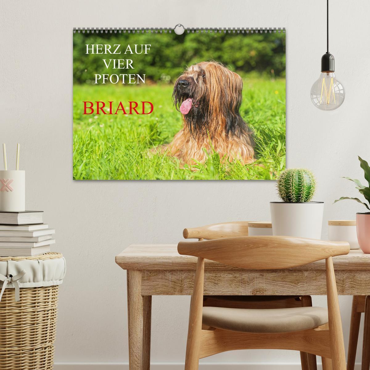 Bild: 9783457153079 | Herz auf vier Pfoten - Briard (Wandkalender 2025 DIN A3 quer),...