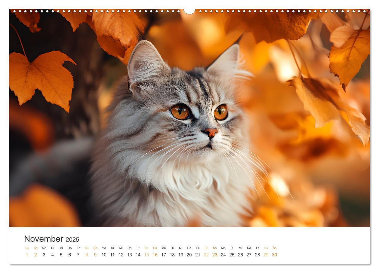 Bild: 9783457203866 | Katzen - sanfte Schönheiten (Wandkalender 2025 DIN A2 quer),...