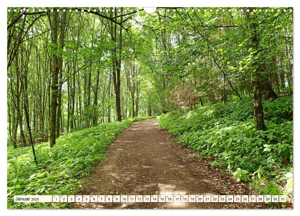 Bild: 9783435222315 | Viele Wege - ein Ziel Wandern im Odenwald (Wandkalender 2025 DIN A3...