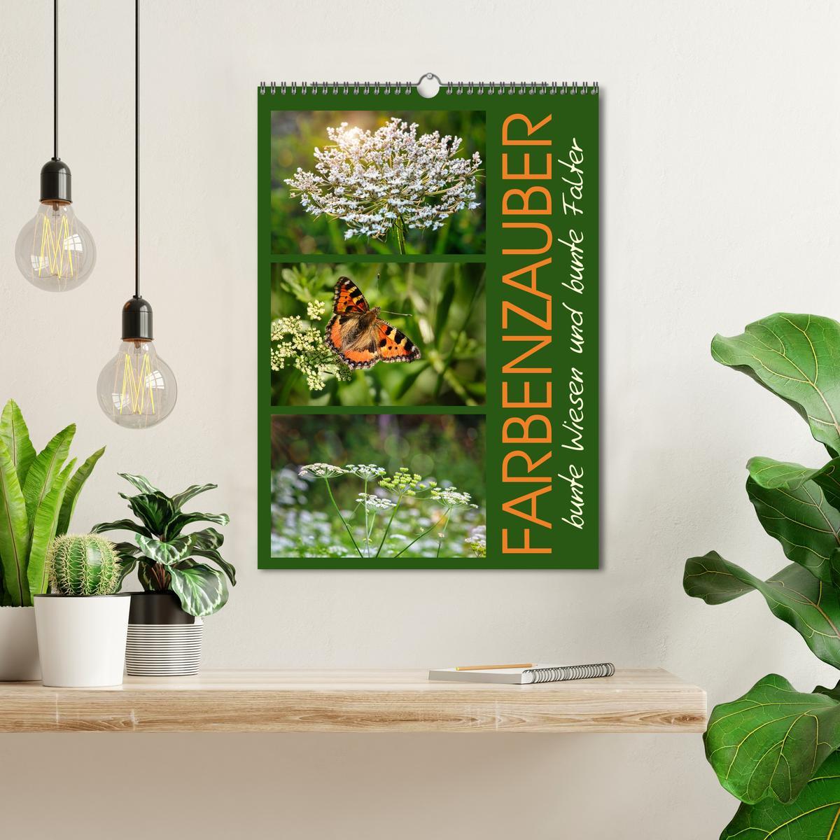 Bild: 9783457173336 | Farbenzauber, bunte Wiesen und bunte Falter (Wandkalender 2025 DIN...