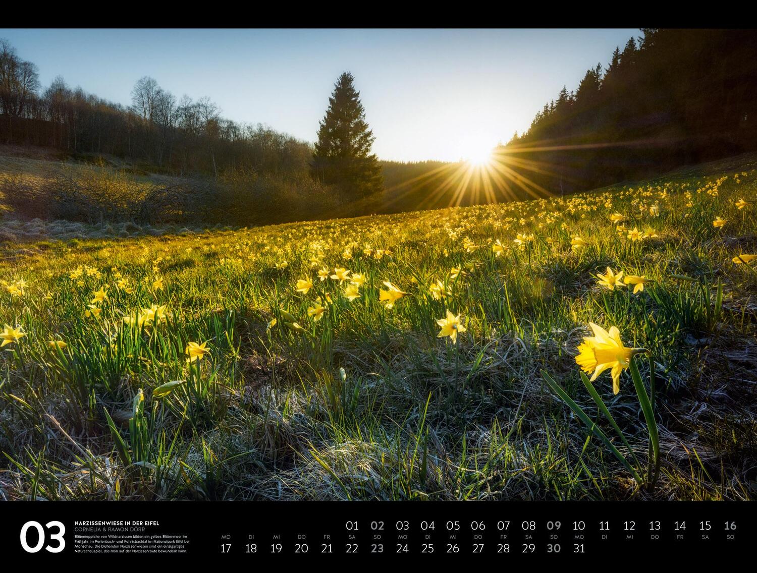 Bild: 9783838411606 | Naturparadies Deutschland - Signature Kalender 2025 | Dörr (u. a.)