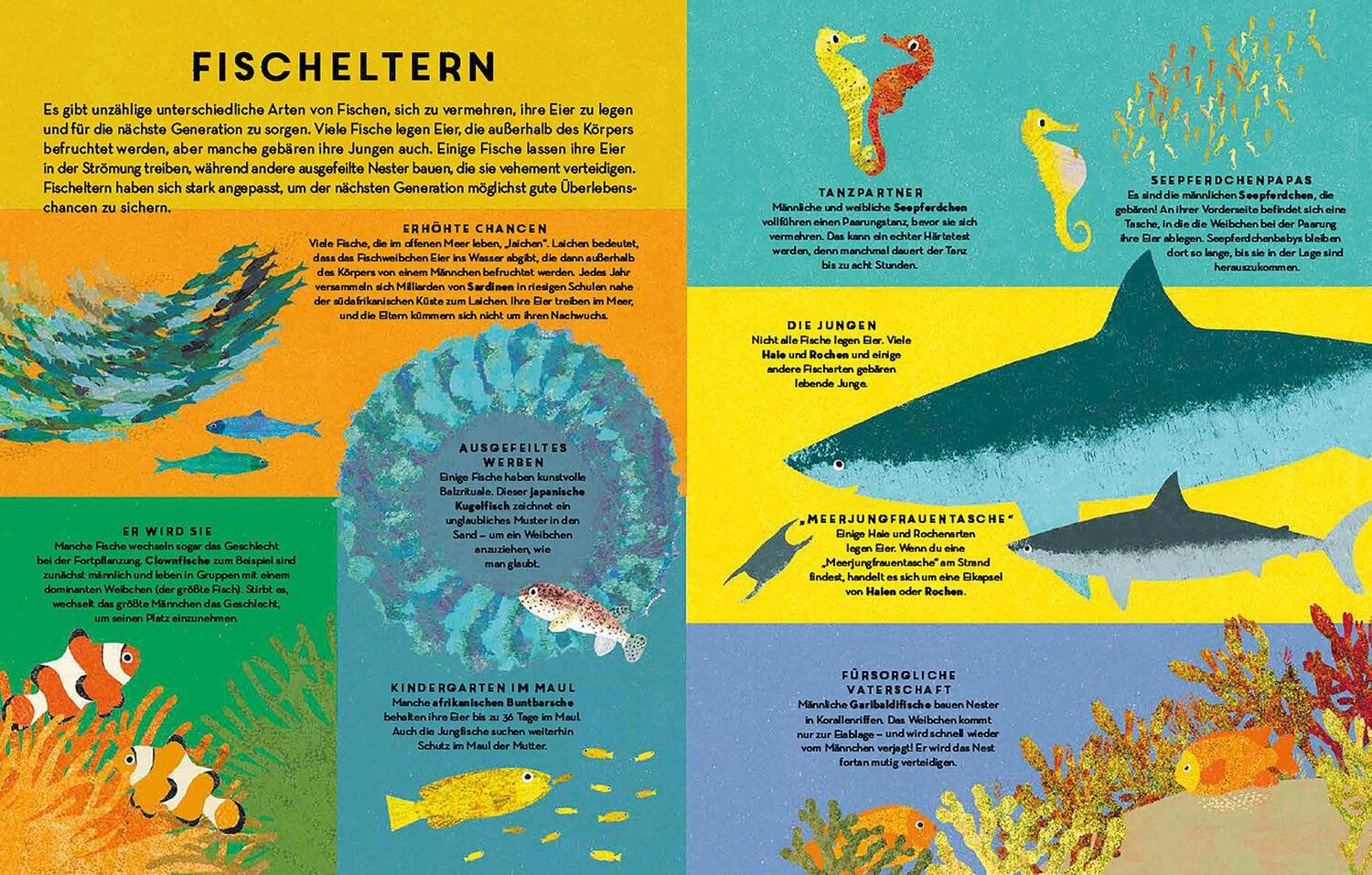 Bild: 9783791373867 | Fische, Fische überall | Britta Teckentrup | Buch | 32 S. | Deutsch