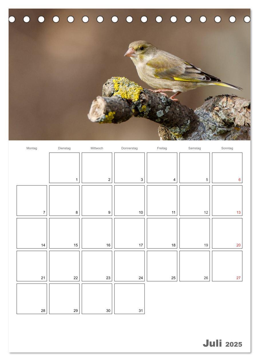 Bild: 9783457007730 | Vögel im heimischen Garten (Tischkalender 2025 DIN A5 hoch),...