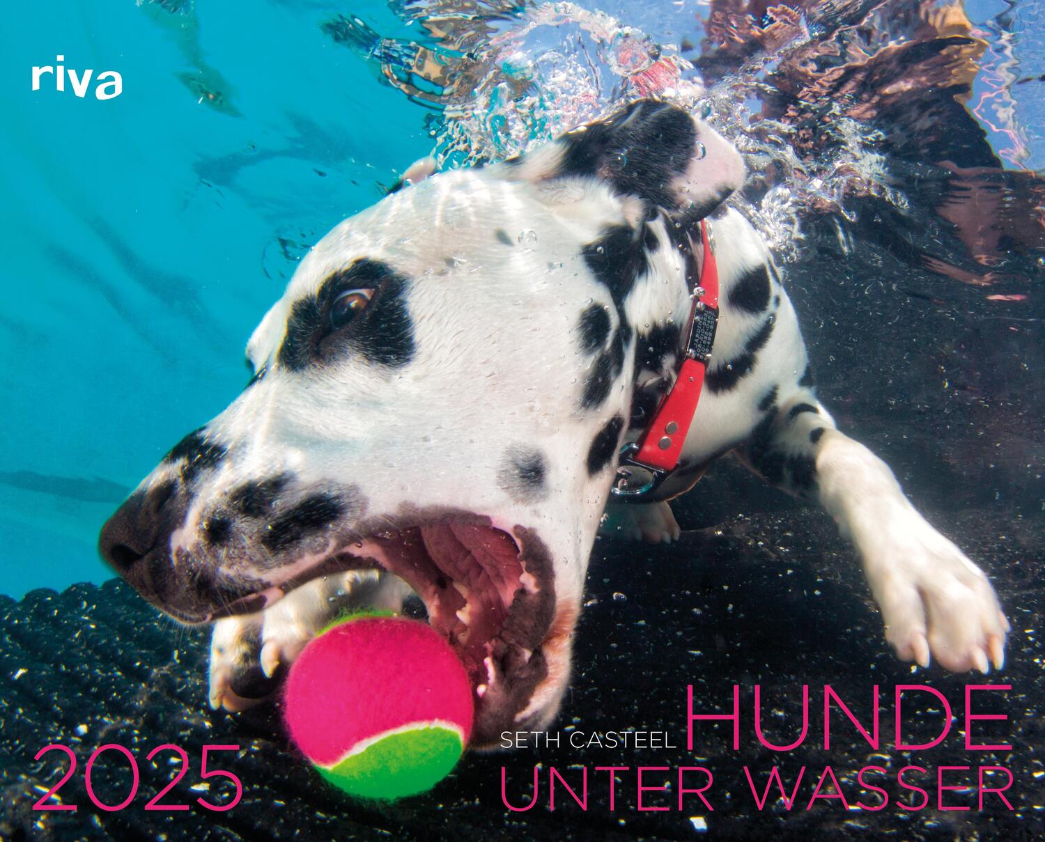 Cover: 9783742326331 | Hunde unter Wasser 2025 | Seth Casteel | Kalender | 14 S. | Deutsch