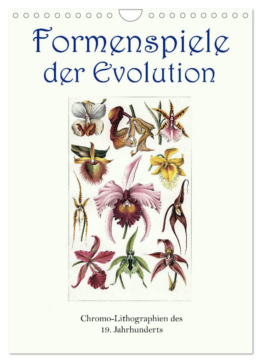 Cover: 9783435978908 | Formenspiele der Evolution. Chromolithographien des 19....