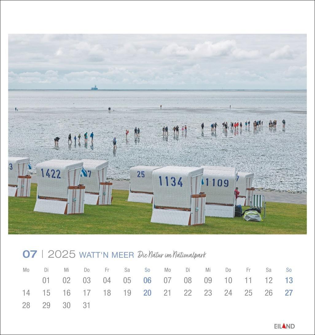 Bild: 9783964023285 | Watt'n Meer Postkartenkalender 2025 - Die Natur im Nationalpark | 2025