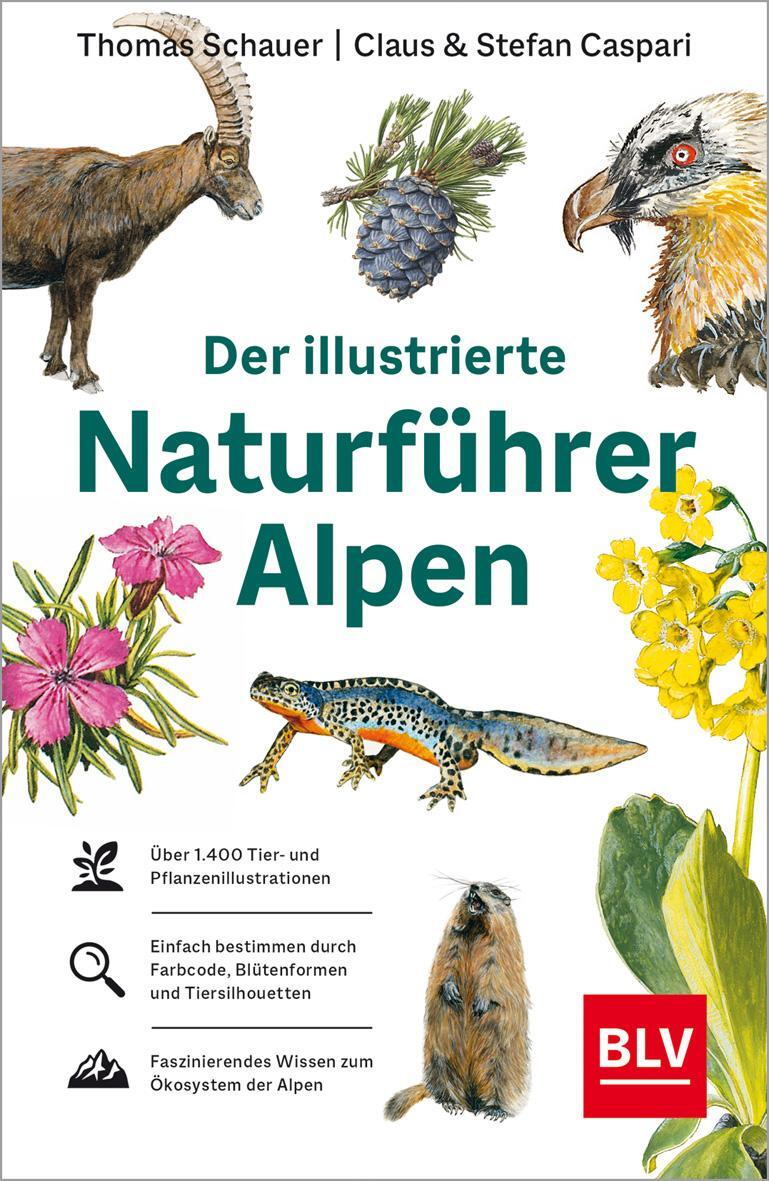 Cover: 9783967470604 | Der illustrierte Naturführer Alpen | Thomas Schauer (u. a.) | Buch