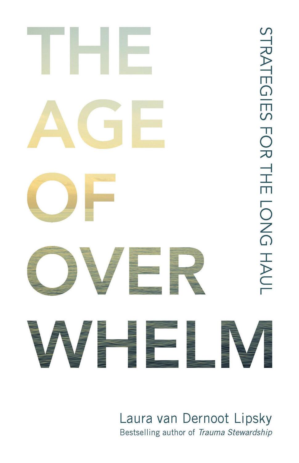 Cover: 9781523094738 | The Age of Overwhelm | Strategies for the Long Haul | Lipsky | Buch