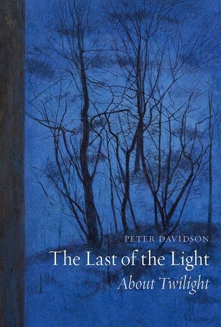 Cover: 9781780238272 | The Last of the Light | About Twilight | Peter Davidson | Taschenbuch