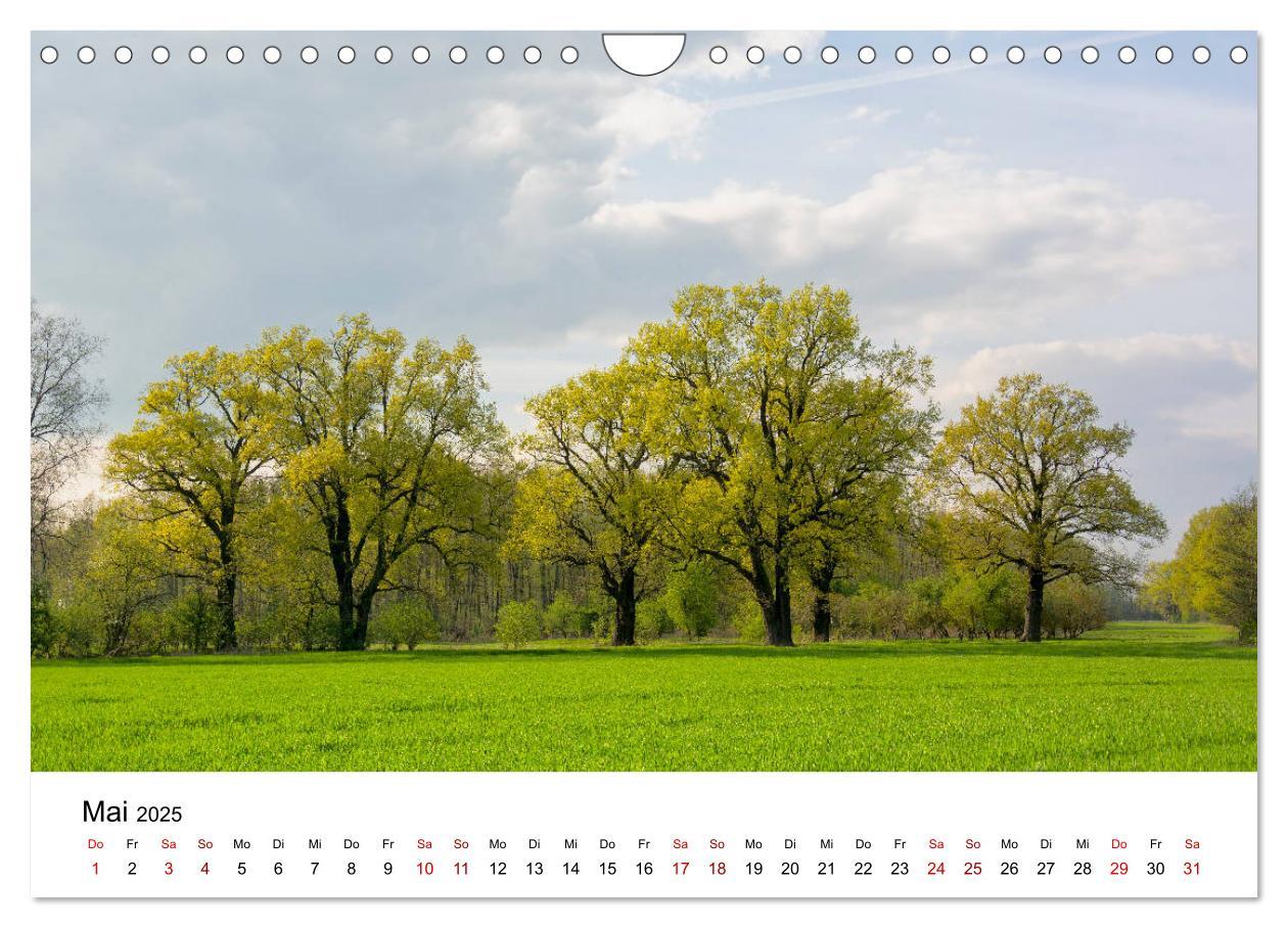 Bild: 9783435201105 | Unterwegs im Spreewald (Wandkalender 2025 DIN A4 quer), CALVENDO...