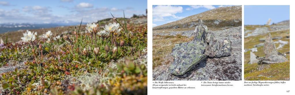 Bild: 9789198331004 | Lappland - Eine Reise in die letzte Wildnis Europas | Idelmann | Buch