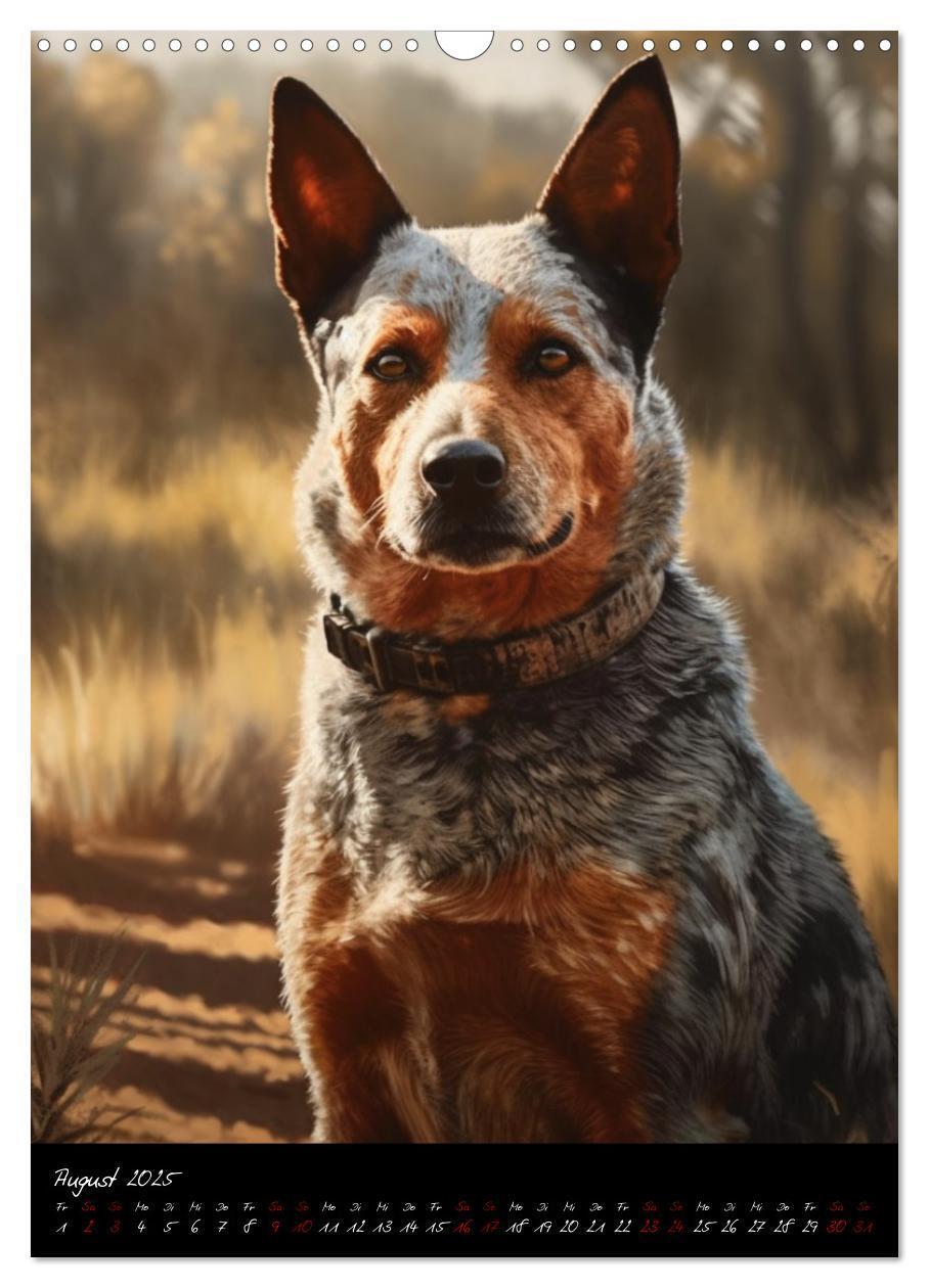 Bild: 9783435877072 | Australian Cattle Dogs (Wandkalender 2025 DIN A3 hoch), CALVENDO...