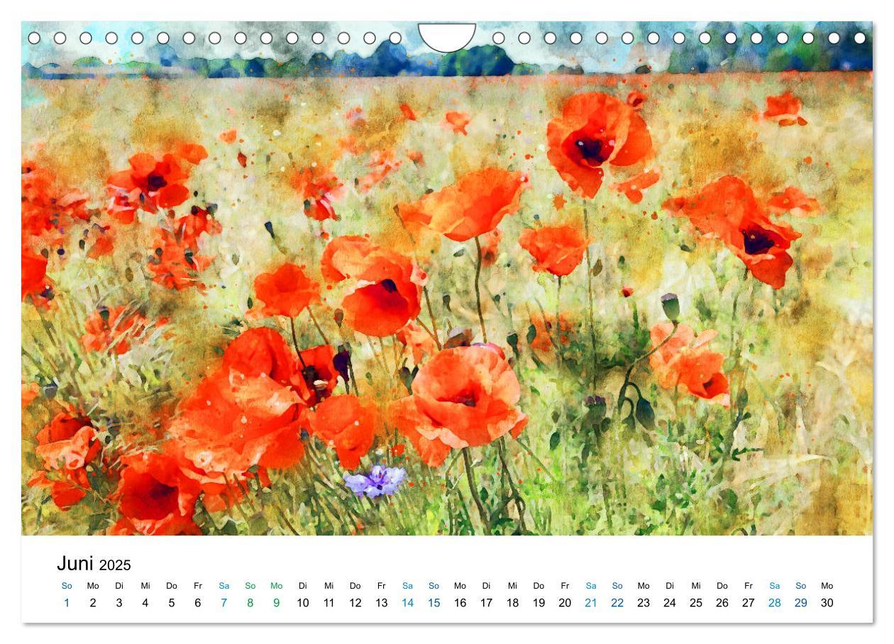 Bild: 9783435143474 | Havelland in Aquarell (Wandkalender 2025 DIN A4 quer), CALVENDO...