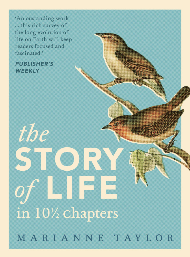Cover: 9781800249189 | The Story of Life in 101/2 Chapters | Marianne Taylor | Buch | 2021