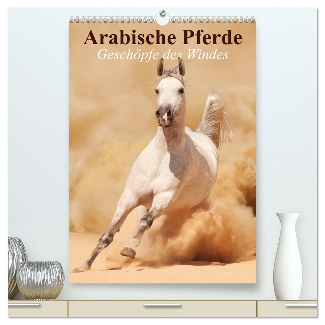 Cover: 9783383473098 | Arabische Pferde ¿ Geschöpfe des Windes (hochwertiger Premium...