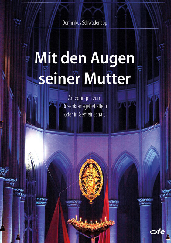 Cover: 9783863571481 | Mit den Augen seiner Mutter | Dominikus Schwaderlapp | Taschenbuch