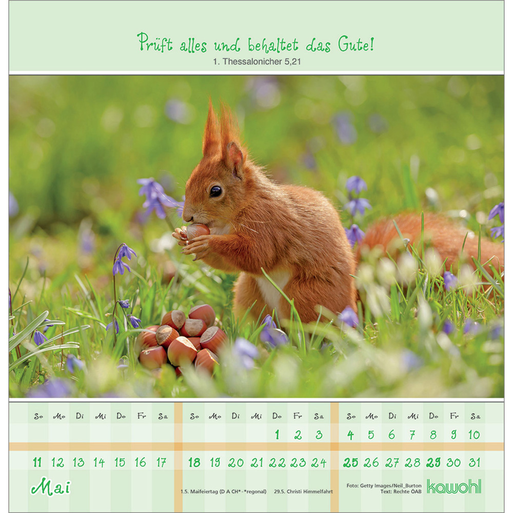 Bild: 9783754829653 | Von Herzen gute Zeit 2025 | Kalender | Spiralbindung. Spiralbindung