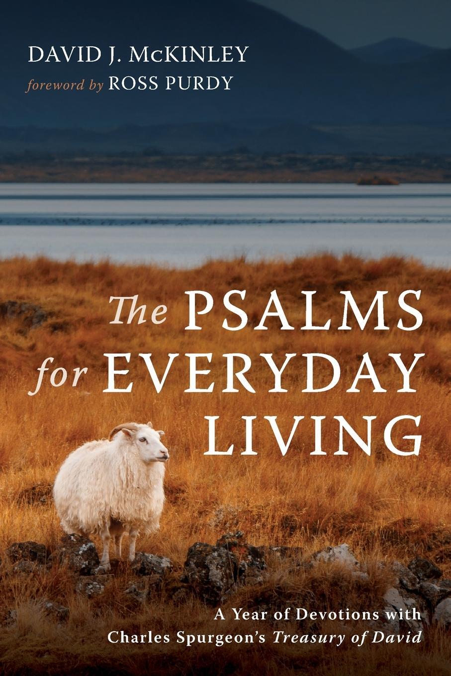 Cover: 9781666708387 | The Psalms for Everyday Living | David J. McKinley | Taschenbuch