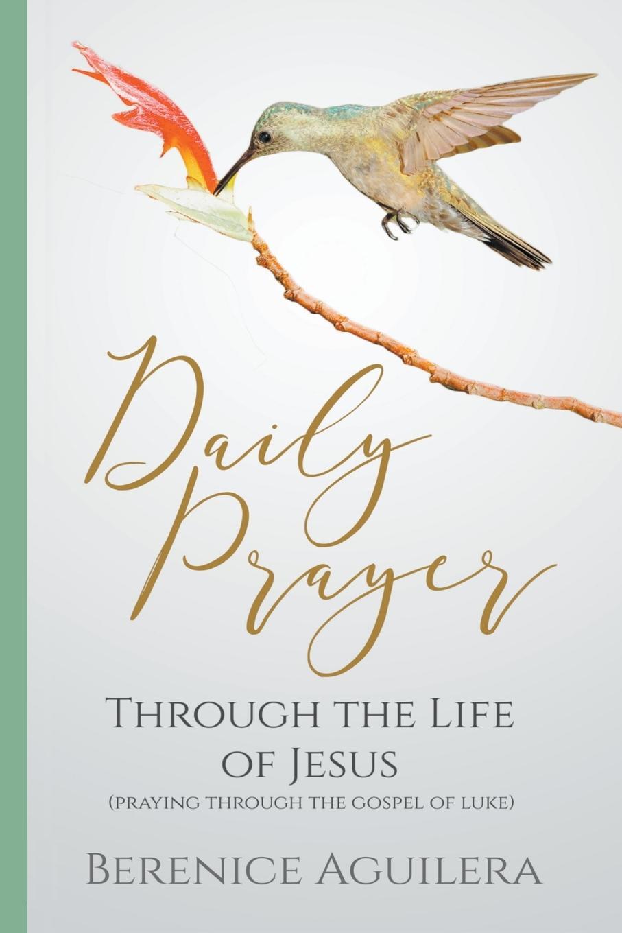 Cover: 9781919674308 | Daily Prayer through the Life of Jesus (Praying through the Gospel...
