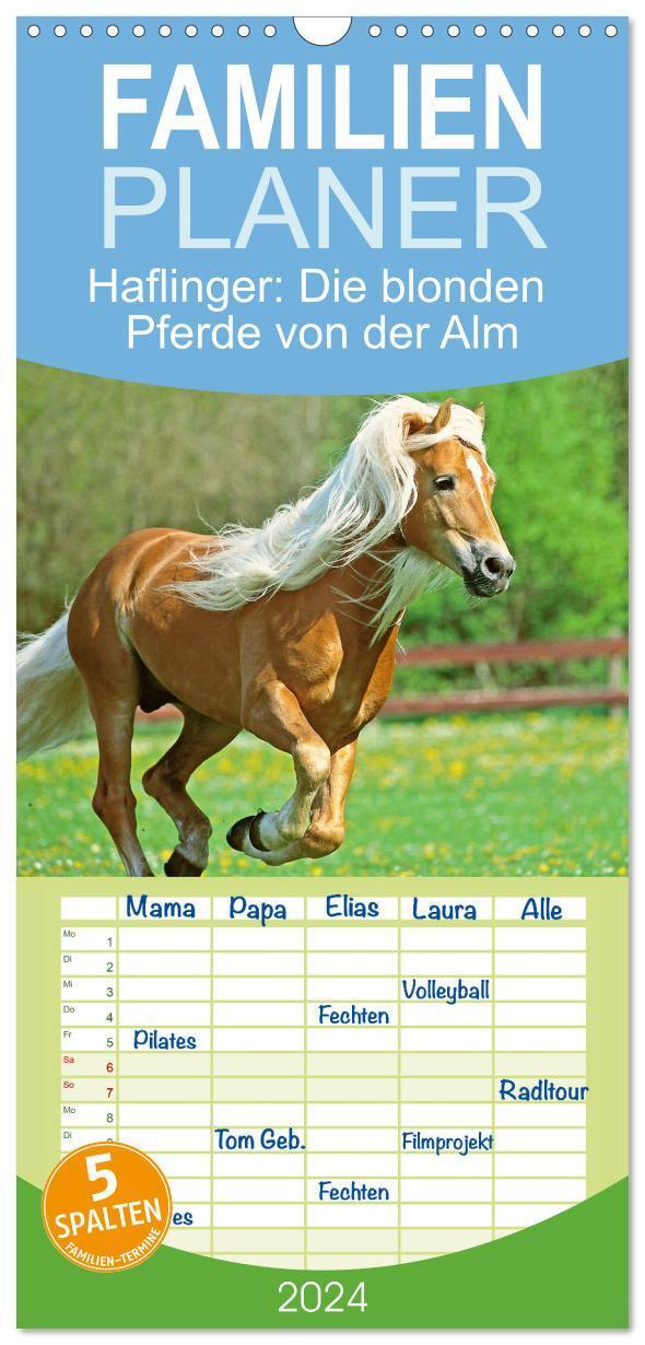 Cover: 9783383697838 | Familienplaner 2024 - Haflinger: Die blonden Pferde von der Alm mit...