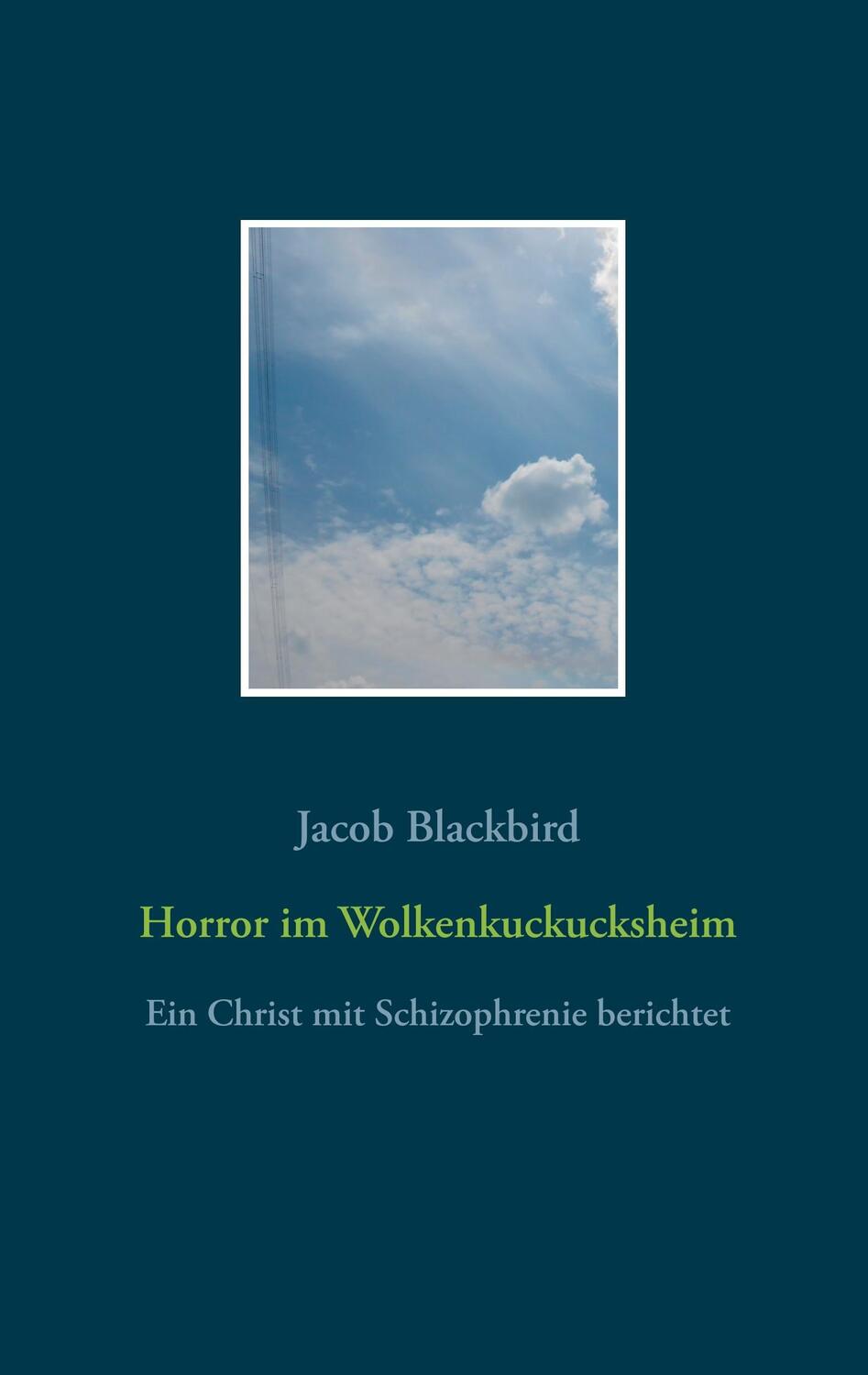 Cover: 9783752822465 | Horror im Wolkenkuckucksheim | Ein Christ mit Schizophrenie berichtet