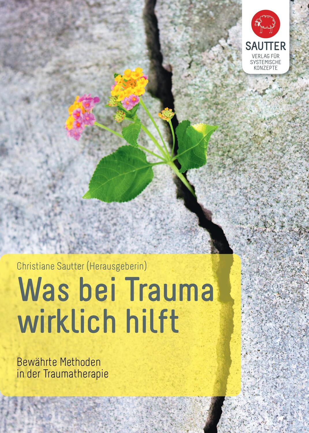 Cover: 9783943239065 | Was bei Trauma wirklich hilft | Christiane Sautter | Taschenbuch