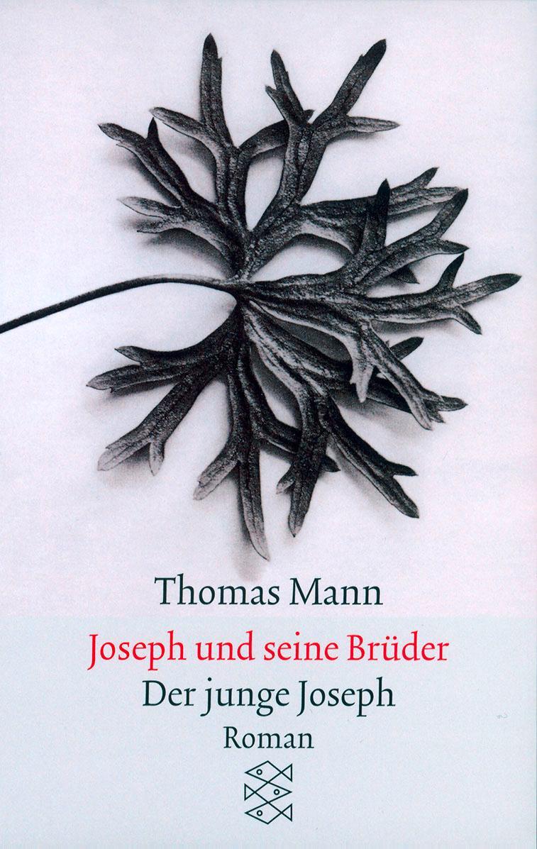 Cover: 9783596294367 | Joseph und seine Brüder II. Der junge Joseph | Thomas Mann | Buch