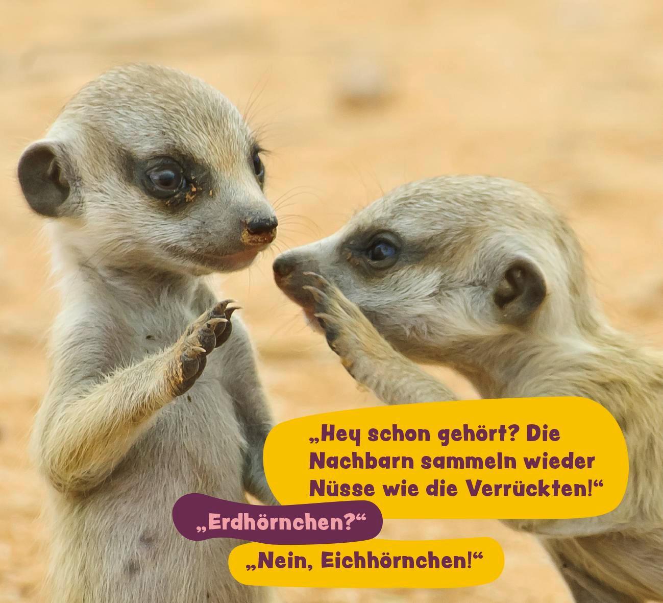 Bild: 9783848502813 | Tierisch gechillt! | Paulus Vennebusch | Taschenbuch | 52 S. | Deutsch