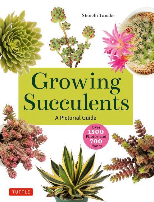 Cover: 9780804855532 | Growing Succulents | Shoichi Tanabe | Taschenbuch | Englisch | 2023