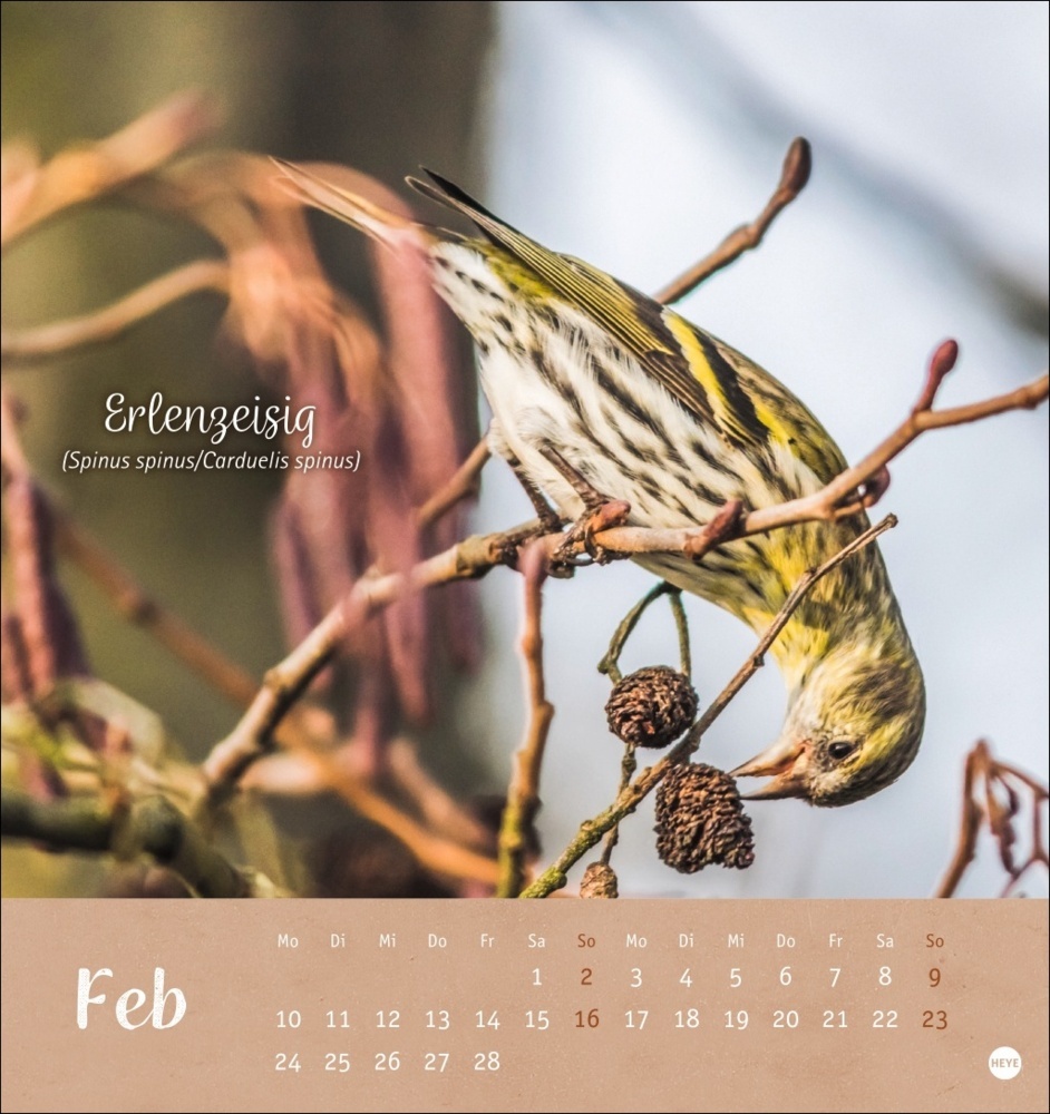 Bild: 9783756407125 | Vögel in unseren Gärten Postkartenkalender 2025 | Kalender | 13 S.