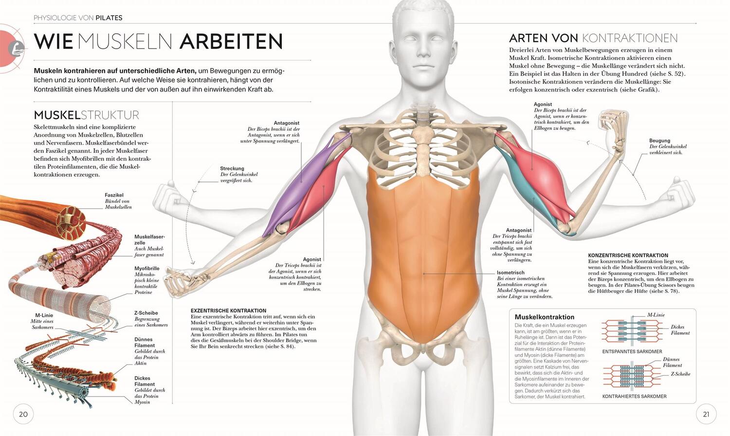 Bild: 9783831046300 | Pilates - Die Anatomie verstehen | Tracy Ward | Taschenbuch | 224 S.