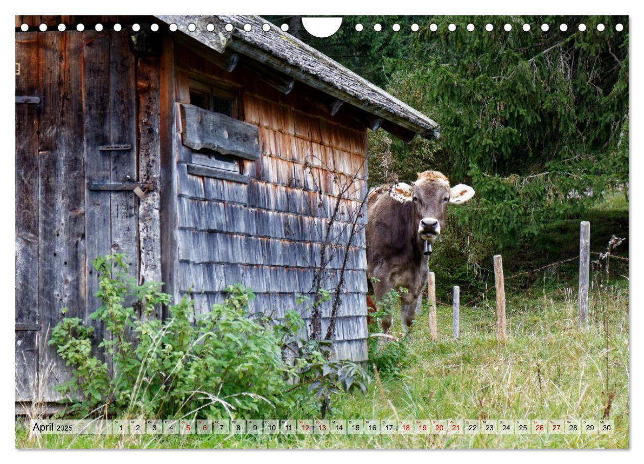 Bild: 9783435407378 | Herbst im Tannheimer Tal - Impressionen von Schattwald bis...