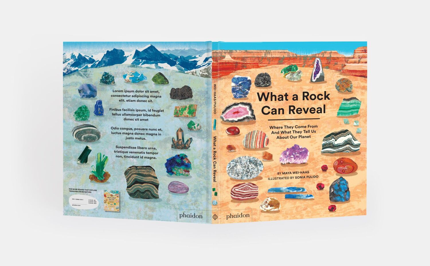 Bild: 9781838667894 | What a Rock Can Reveal | Maya Wei-Haas (u. a.) | Buch | Phaidon Press