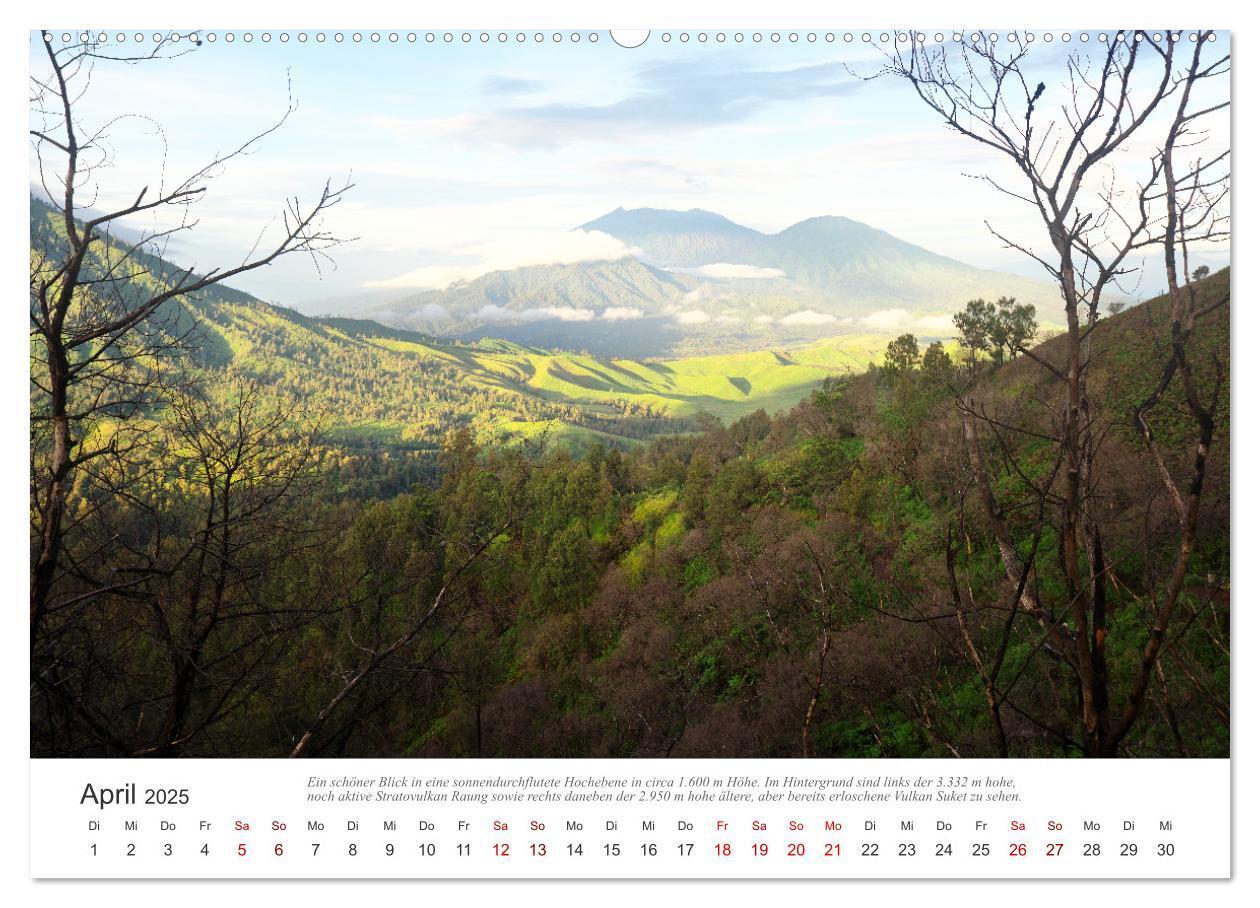 Bild: 9783435043163 | JAVA Natur pur (Wandkalender 2025 DIN A2 quer), CALVENDO...