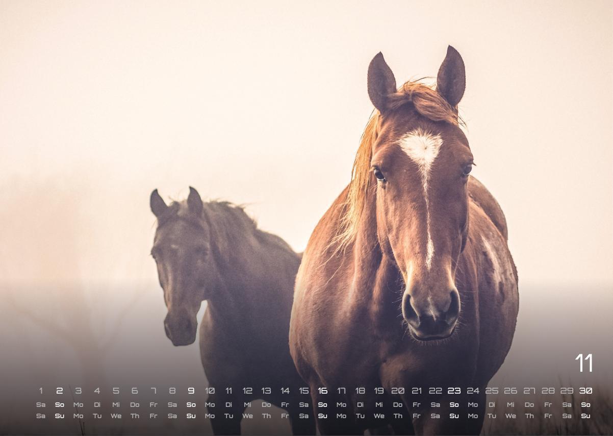 Bild: 9783986734053 | Pferdegeflüster - Der Pferdekalender - 2025 - Kalender DIN A3 | de