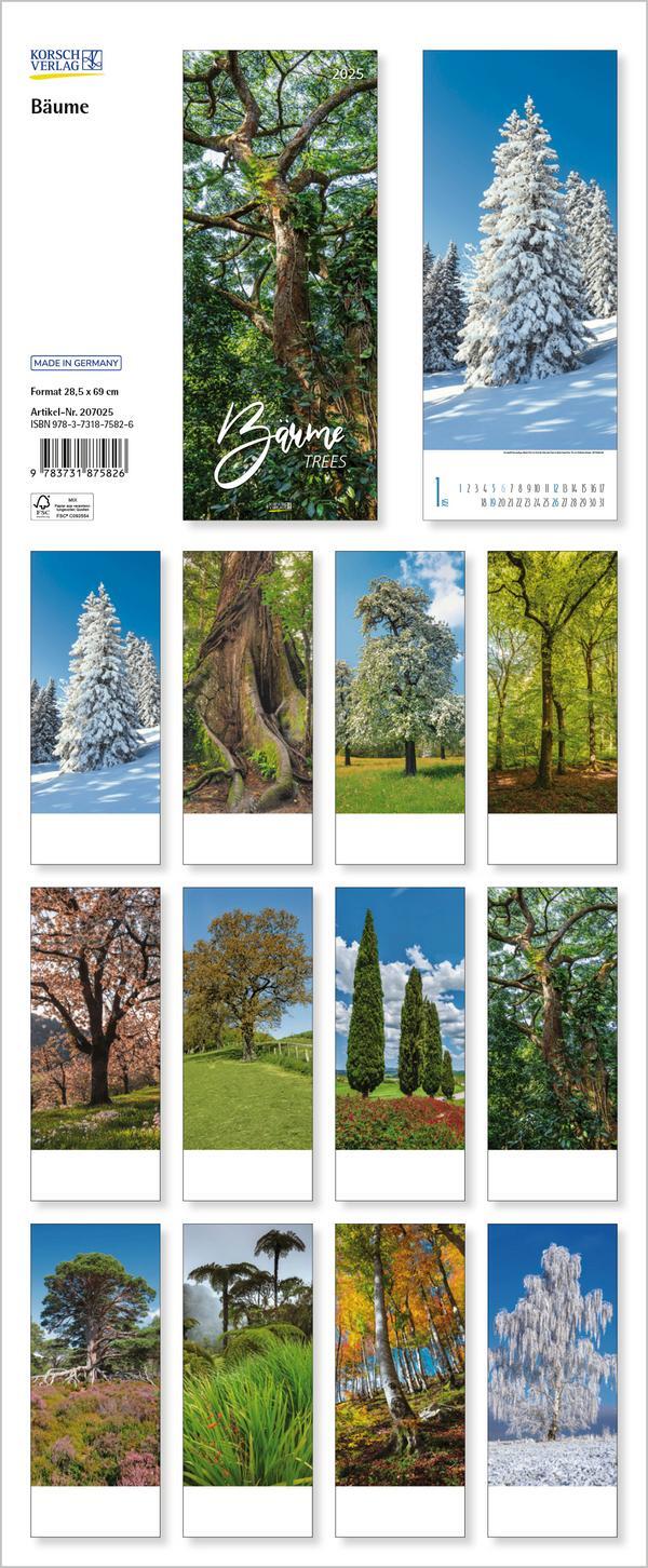 Bild: 9783731875826 | Bäume 2025 | Verlag Korsch | Kalender | Spiralbindung | 14 S. | 2025