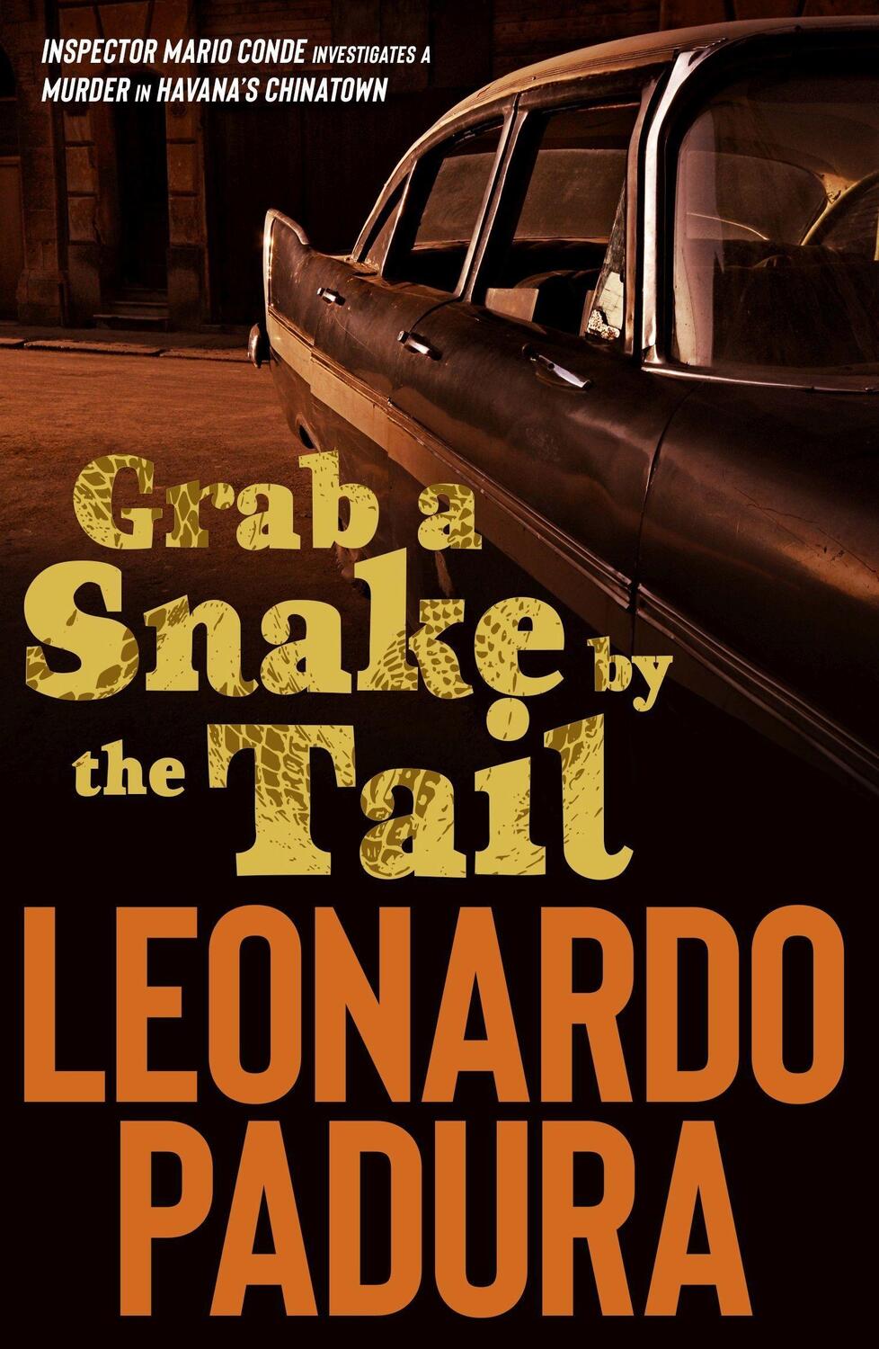 Cover: 9781912242177 | Grab a Snake by the Tail | Leonardo Padura | Taschenbuch | Englisch