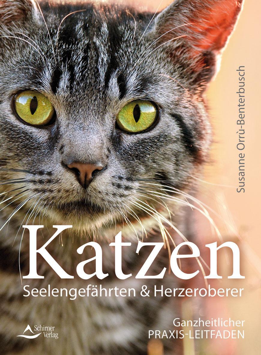 Cover: 9783843413343 | Katzen - Seelengefährten & Herzeroberer | Susanne Orrù-Benterbusch