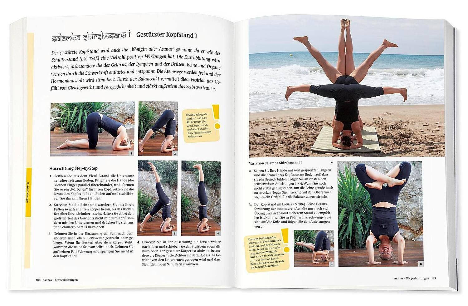 Bild: 9783426675885 | Yoga - Das große Praxisbuch für Einsteiger &amp; Fortgeschrittene | Schöps