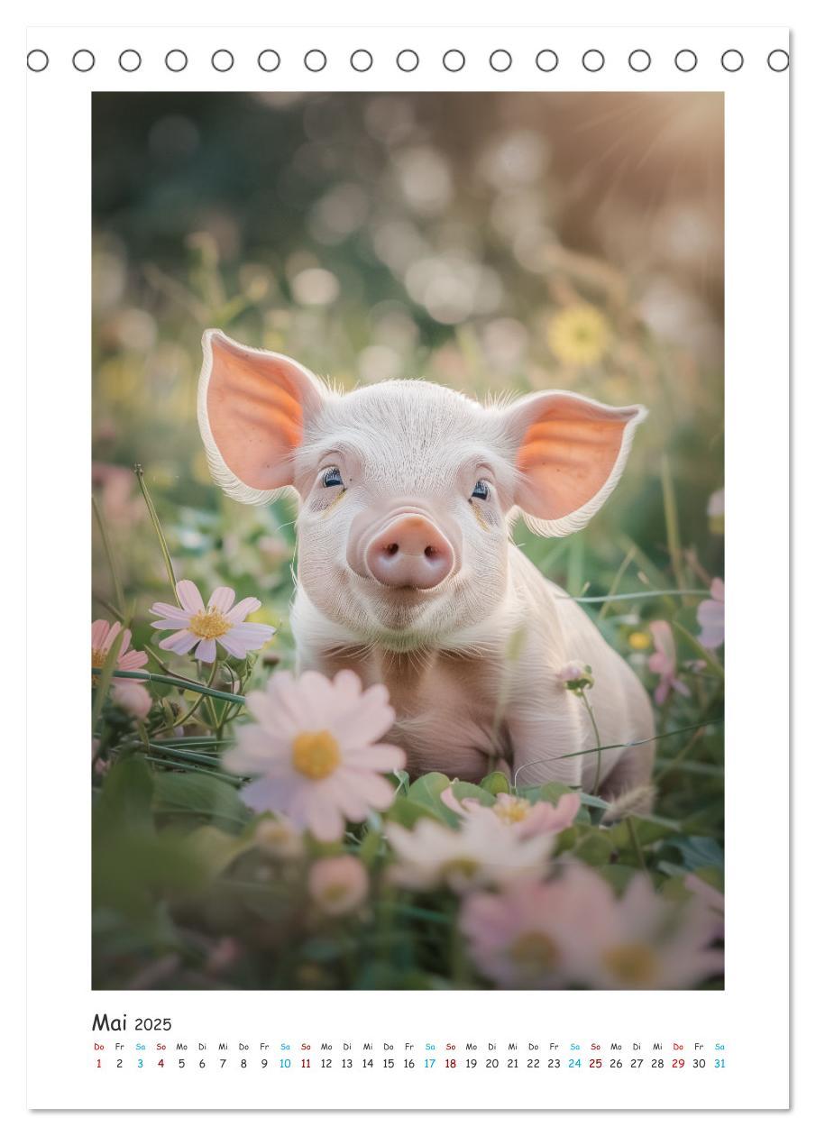 Bild: 9783457160558 | Schwein gehabt (Tischkalender 2025 DIN A5 hoch), CALVENDO...