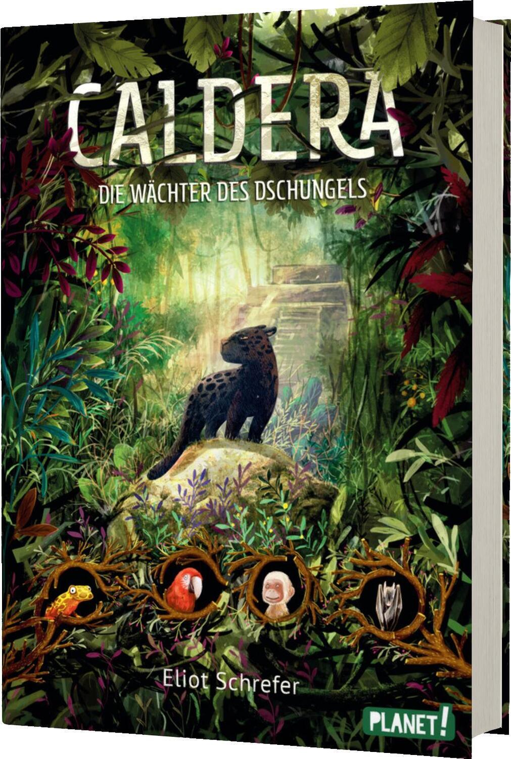 Cover: 9783522506069 | Caldera 1: Die Wächter des Dschungels | Eliot Schrefer | Buch | 384 S.